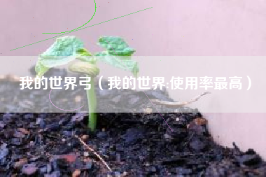 我的世界弓（我的世界:使用率最高）