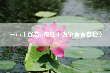 zzitai（姿态--花红不为争春春自艳）