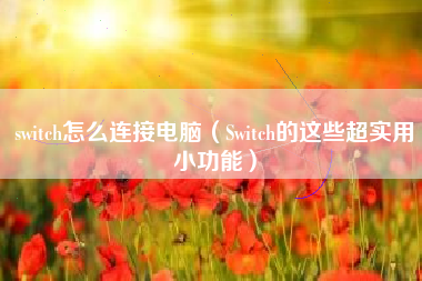 switch怎么连接电脑（Switch的这些超实用小功能）