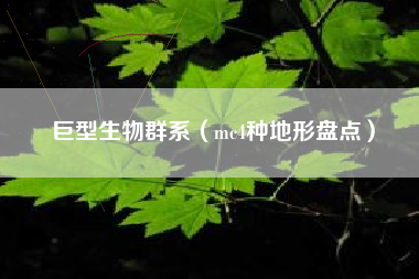 巨型生物群系（mc4种地形盘点）