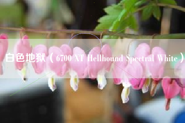 白色地狱（6700 XT Hellhound Spectral White）