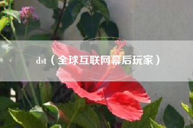 dst（全球互联网幕后玩家）