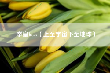 拳皇boss（上至宇宙下至地球）