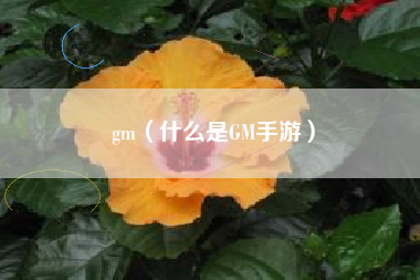 gm（什么是GM手游）