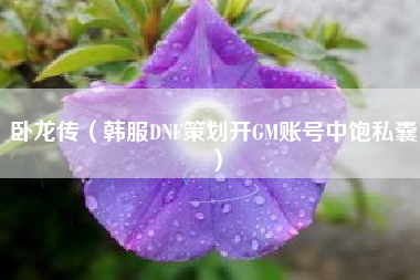 卧龙传（韩服DNF策划开GM账号中饱私囊）