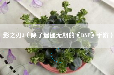 影之刃3（除了遥遥无期的《DNF》手游）