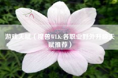 游戏天赋（魔兽WLK:各职业野外升级天赋推荐）