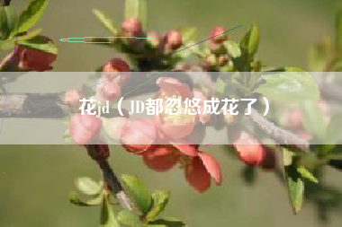 花jd（JD都忽悠成花了）