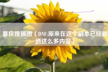 暴戾搜捕团（DNF:原来在这个副本已经剧透这么多内容）