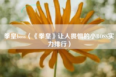 拳皇boss（《拳皇》让人畏惧的小BOSS实力排行）