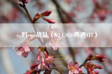 ag的csgo战队（G2 CSGO再遇VIT）