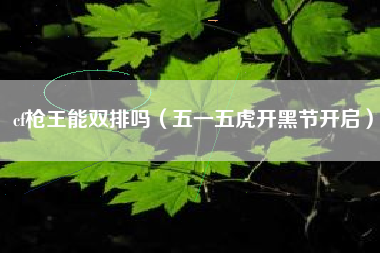 cf枪王能双排吗（五一五虎开黑节开启）