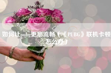 如何让pubg更加流畅（《PUBG》联机卡顿怎么办）