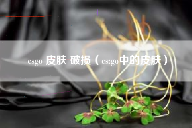 csgo 皮肤 破损（cs:go中的皮肤）