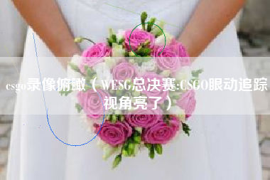 csgo录像俯瞰（WESG总决赛:CSGO眼动追踪视角亮了）