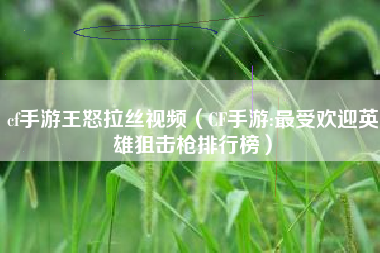 cf手游王怒拉丝视频（CF手游:最受欢迎英雄狙击枪排行榜）