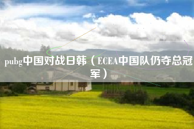 pubg中国对战日韩（ECEA中国队仍夺总冠军）