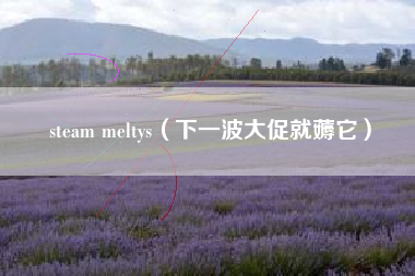 steam meltys（下一波大促就薅它）