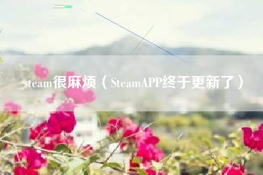 steam很麻烦（SteamAPP终于更新了）