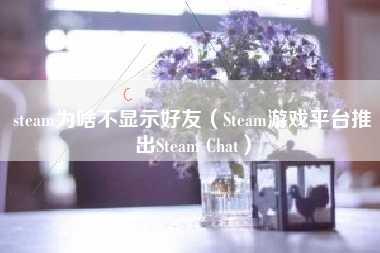 steam为啥不显示好友（Steam游戏平台推出Steam Chat）