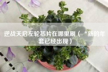 逆战天启左轮芯片在哪里刷（“新的年套已经出现）