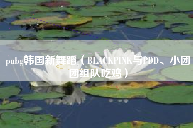 pubg韩国新舞蹈（BLACKPINK与PDD、小团团组队吃鸡）