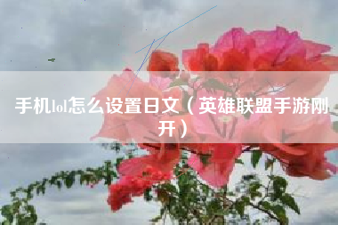 手机lol怎么设置日文（英雄联盟手游刚开）