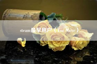 steam最早用户（Too Naive）