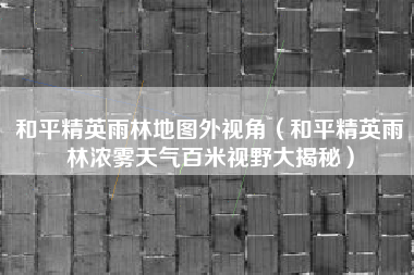 和平精英雨林地图外视角（和平精英雨林浓雾天气百米视野大揭秘）