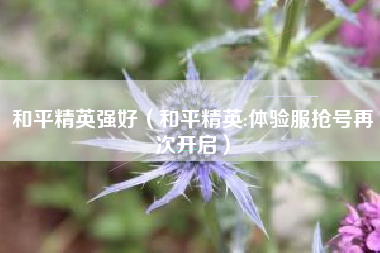 和平精英强好（和平精英:体验服抢号再次开启）