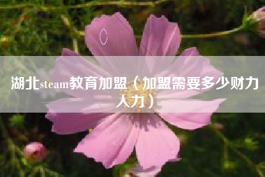 湖北steam教育加盟（加盟需要多少财力人力）