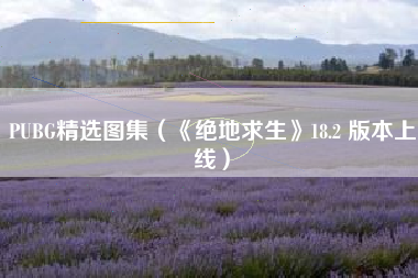 PUBG精选图集（《绝地求生》18.2 版本上线）