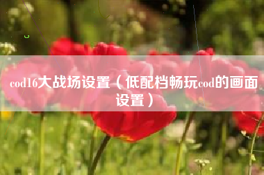 cod16大战场设置（低配档畅玩cod的画面设置）