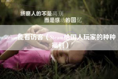 steam能看访客（Steam给国人玩家的种种福利）