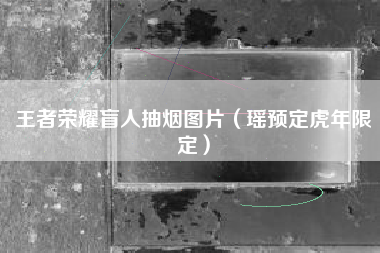 王者荣耀盲人抽烟图片（瑶预定虎年限定）