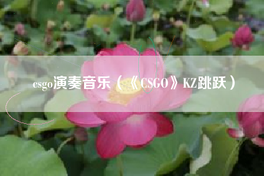 csgo演奏音乐（《CSGO》KZ跳跃）