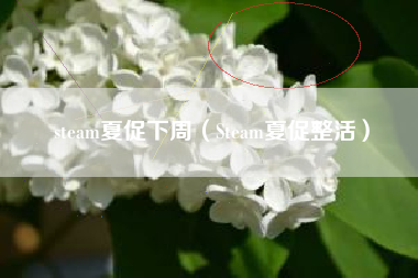 steam夏促下周（Steam夏促整活）