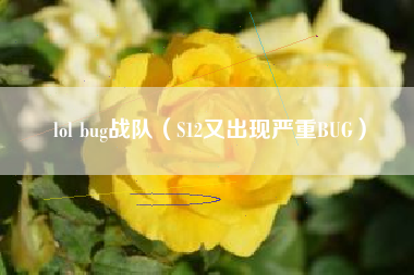 lol bug战队（S12又出现严重BUG）