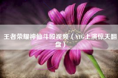 王者荣耀神仙斗殴视频（XYG上演惊天翻盘）