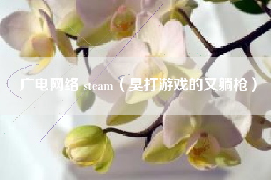 广电网络 steam（臭打游戏的又躺枪）