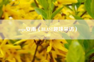 csgo安雨（BLAST趣味采访）