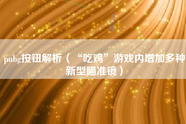 pubg按钮解析（“吃鸡”游戏内增加多种新型瞄准镜）