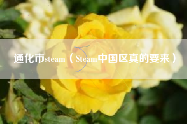 通化市steam（Steam中国区真的要来）