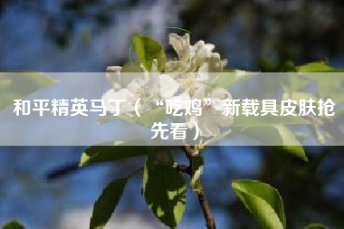 和平精英马丁（“吃鸡”新载具皮肤抢先看）