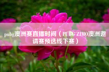 pubg澳洲赛直播时间（PUBG ZIMO澳洲邀请赛预选线下赛）