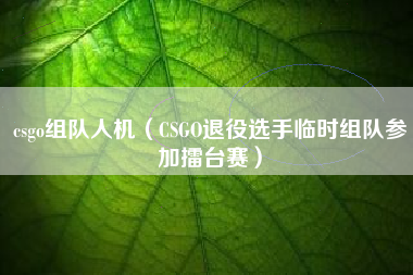 csgo组队人机（CSGO退役选手临时组队参加擂台赛）