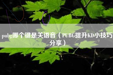 pubg哪个键是关语音（PUBG提升KD小技巧分享）