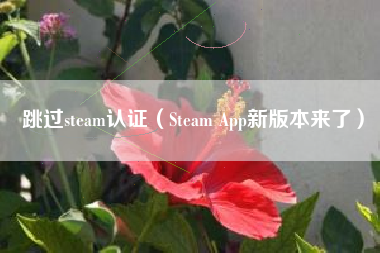 跳过steam认证（Steam App新版本来了）