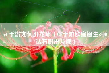 cf 手游如何肝龙啸（CF手游欧皇诞生:800钻石刷出龙啸）