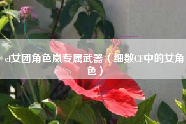 cf女团角色岚专属武器（细数CF中的女角色）